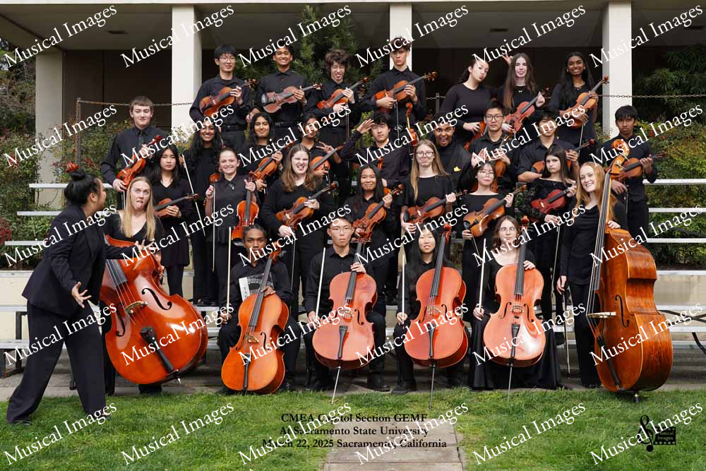 Musical Images